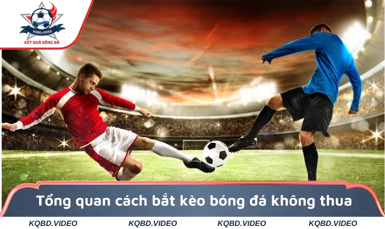 Tổng quan cách bắt kèo bóng đá không thua chuyên nghiệp